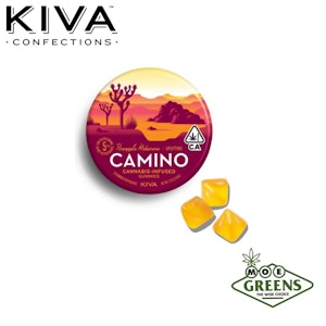 Kiva confections - PINEAPPLE HABANERO CAMINO GUMMIES